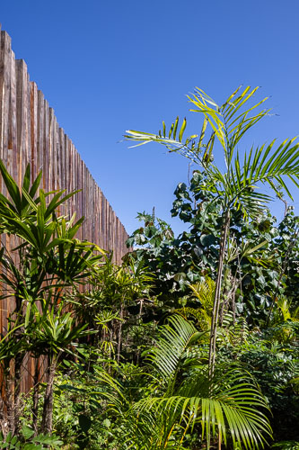 C733_AccesoCentroTulum