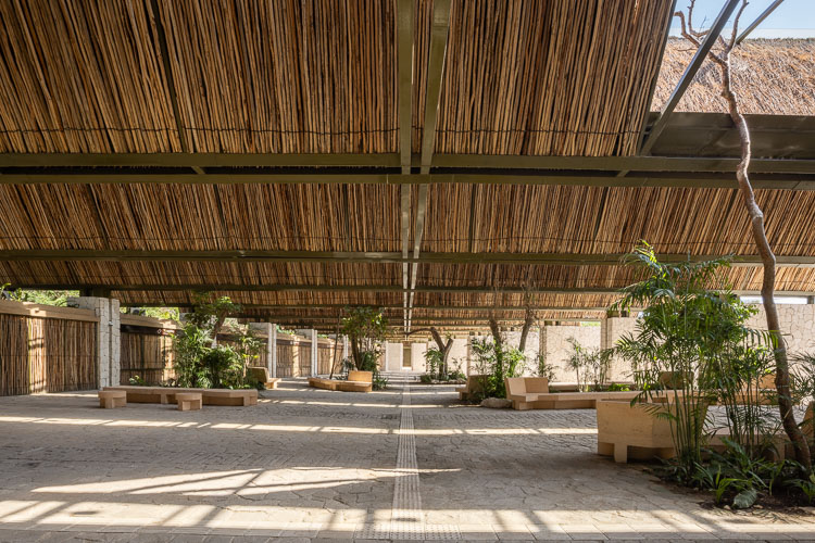 C733_AccesoSurTulum