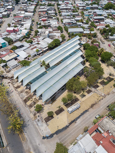 C733_MercadoTapachula