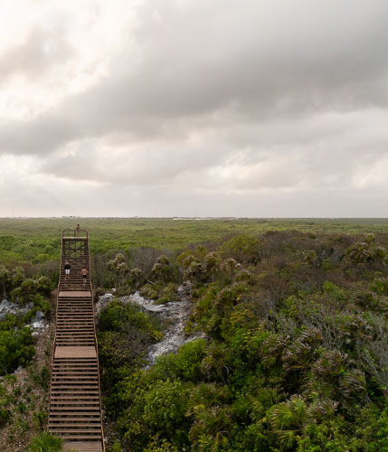 C733_MiradorMangleTulum