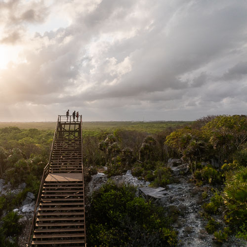 C733_MiradorMangleTulum