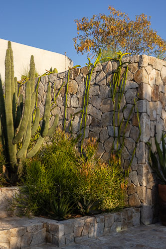 CaboDevelopment_Arrebol