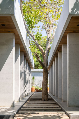 FaciLeboreiro_Cuattro