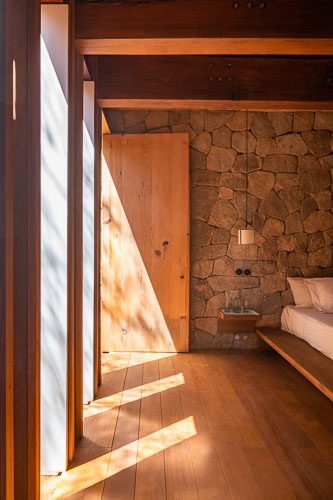 RochaCarrillo_Cometa