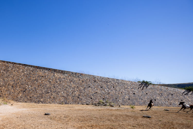 TallerArquitectura_Ecuestre