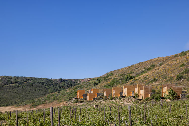 TallerArquitectura_Habitat