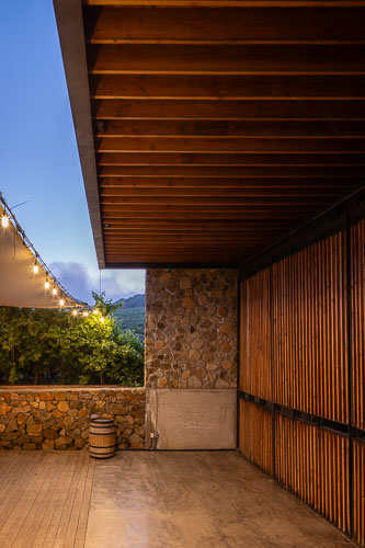 TallerArquitectura_Vinicola