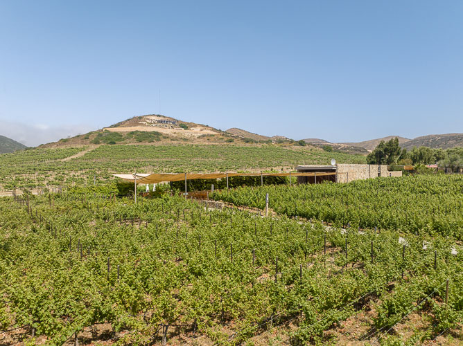 TallerArquitectura_Vinicola